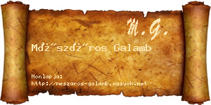 Mészáros Galamb névjegykártya